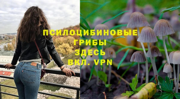 каннабис Баксан
