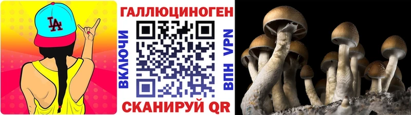 Галлюциногенные грибы MAGIC MUSHROOMS  hydra зеркало  Шахунья 